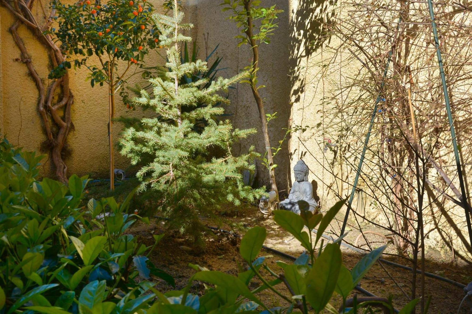 Τhe Hidden Garden Apartment Corfu  Exterior photo