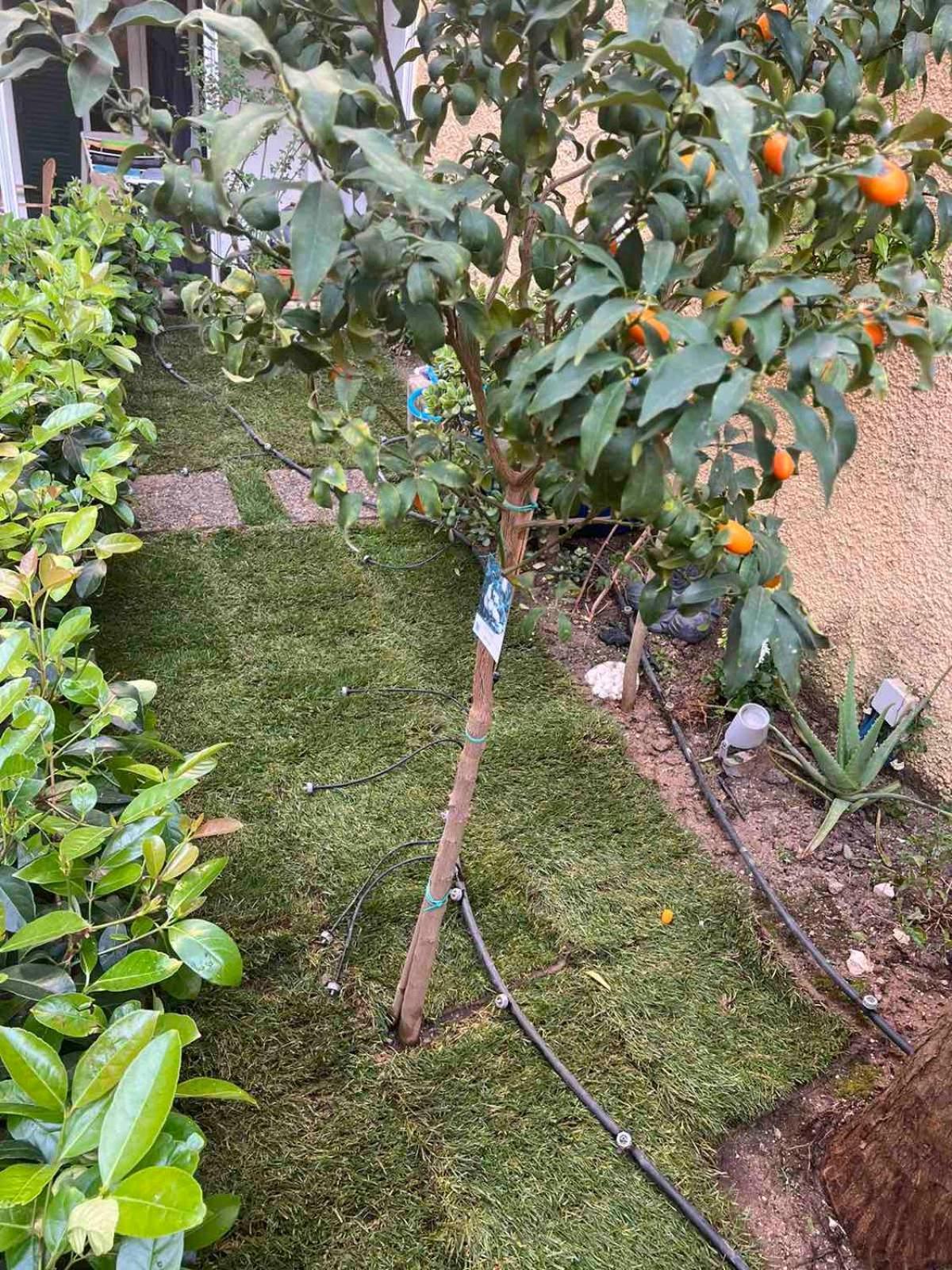 Τhe Hidden Garden Apartment Corfu  Exterior photo