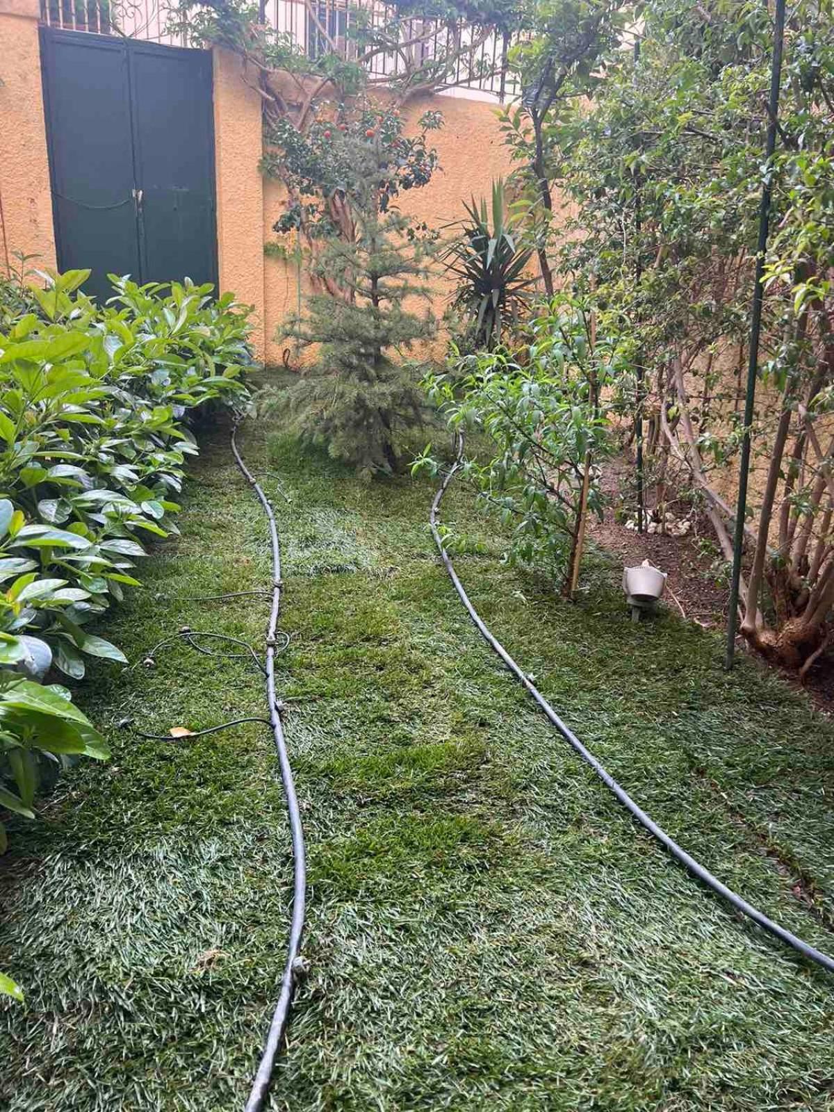 Τhe Hidden Garden Apartment Corfu  Exterior photo
